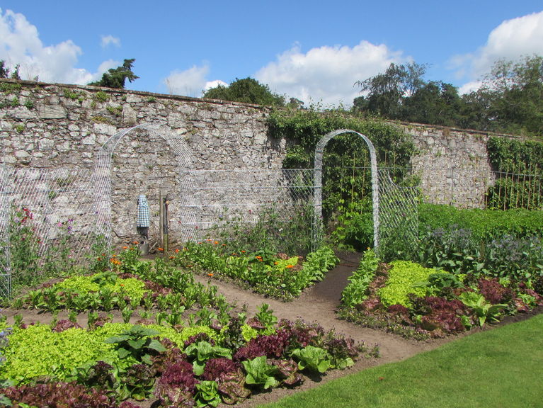 Myres Castle Vegetable Garden