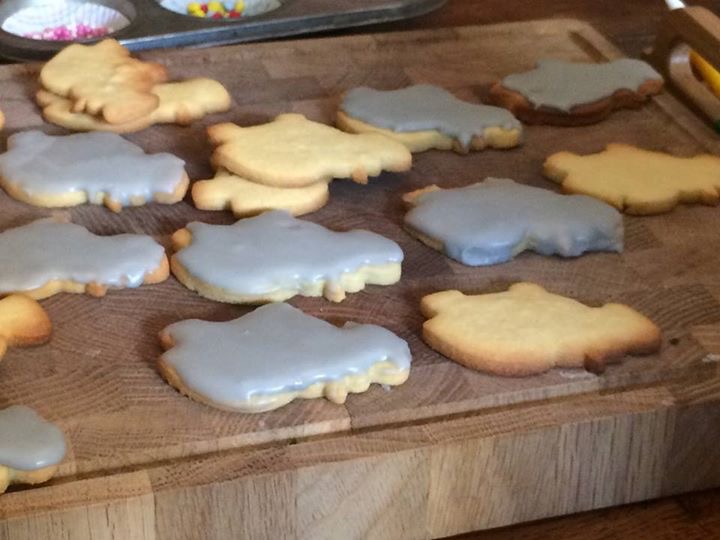 Hippo shaped biscuits for the Myres Hippos